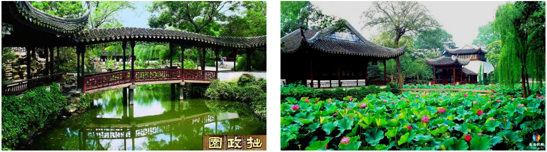 苏州 拙政园.png